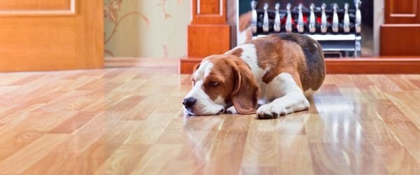 Como escoger piso laminado brillante