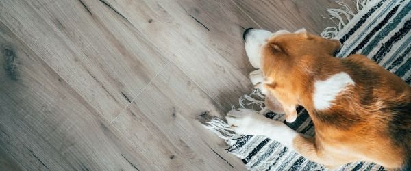 Preguntas frecuentes pisos en madera laminada